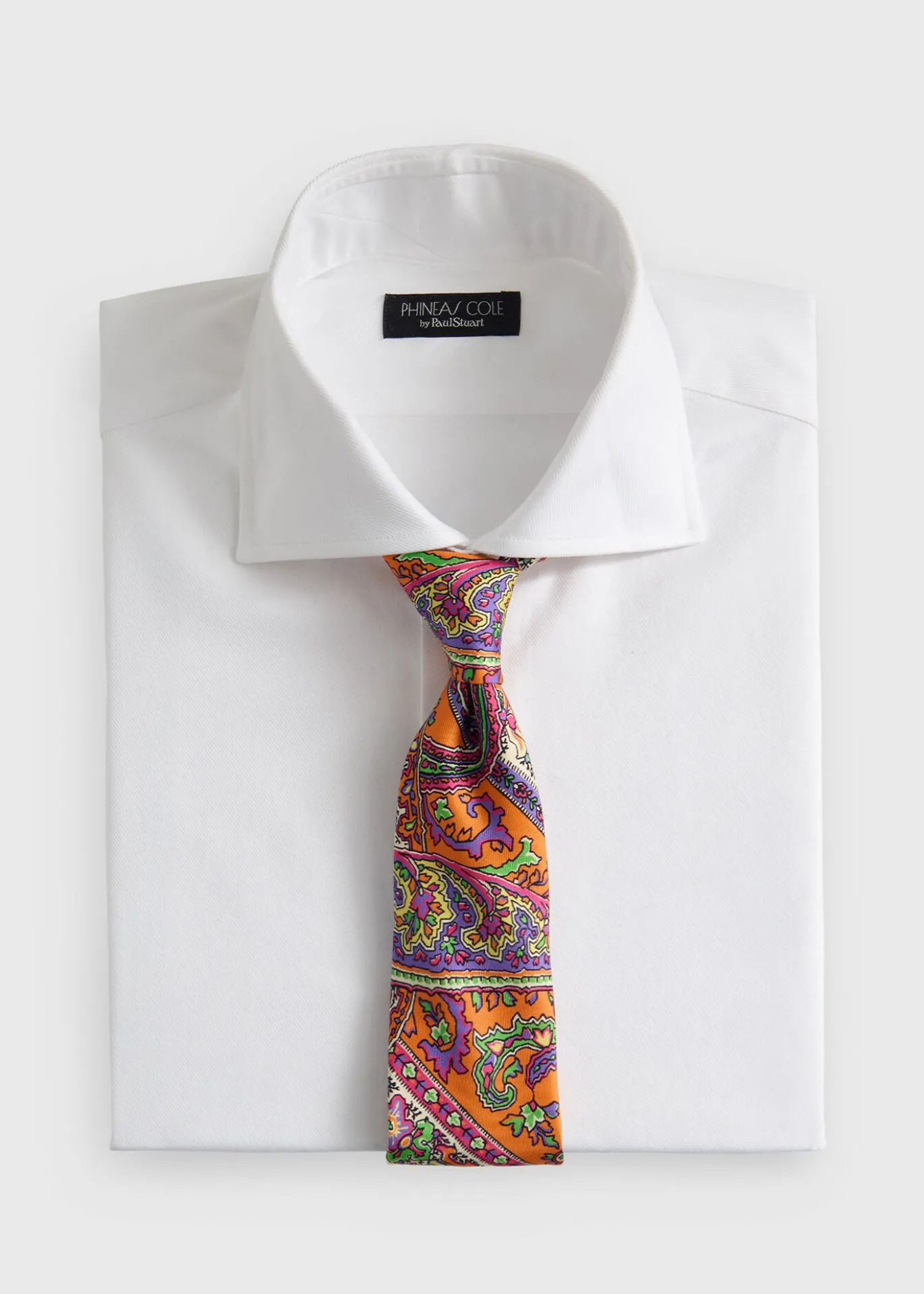 Silk Paisley Print Tie